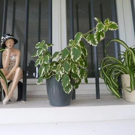 Vendégház Maison Hamak 4*