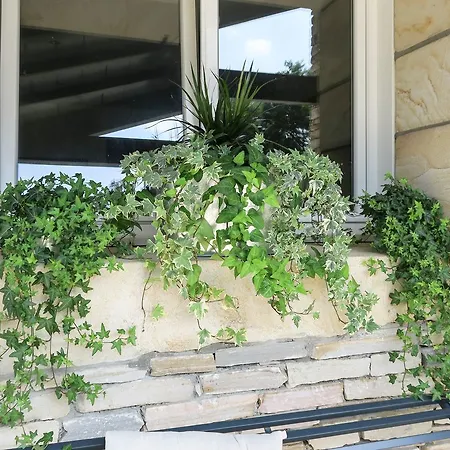 Maison Hamak 4*