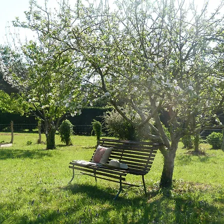 Maison Hamak 4*