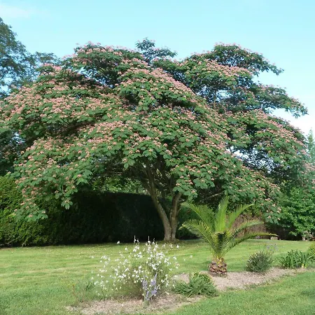 Maison Hamak Vendégház
