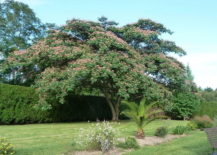 Maison Hamak بيت ضيافة