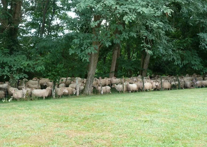 بيت ضيافة Maison Hamak