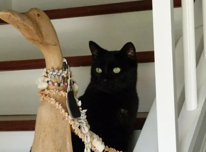 بيت ضيافة Maison Hamak 4*